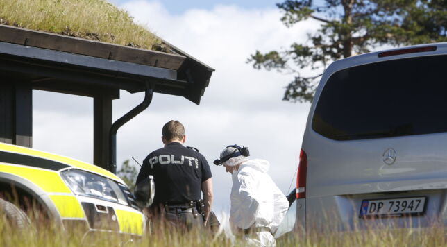 Hyttenabo til Dagbladet om drapet i Hallingdal: - Ekkelt at dette skjer i hyttefeltet