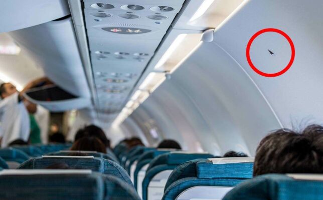 Har du lurt på hva disse små trekantene inne i flyet betyr? Her er svaret