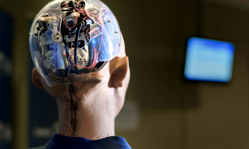 5 av 10 unge «frykter» robotenes inntog i Norge: - Et nødvendig onde