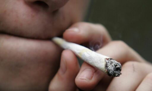 Urinprøvetaking av unge cannabisbrukere setter dem i dødsrisiko