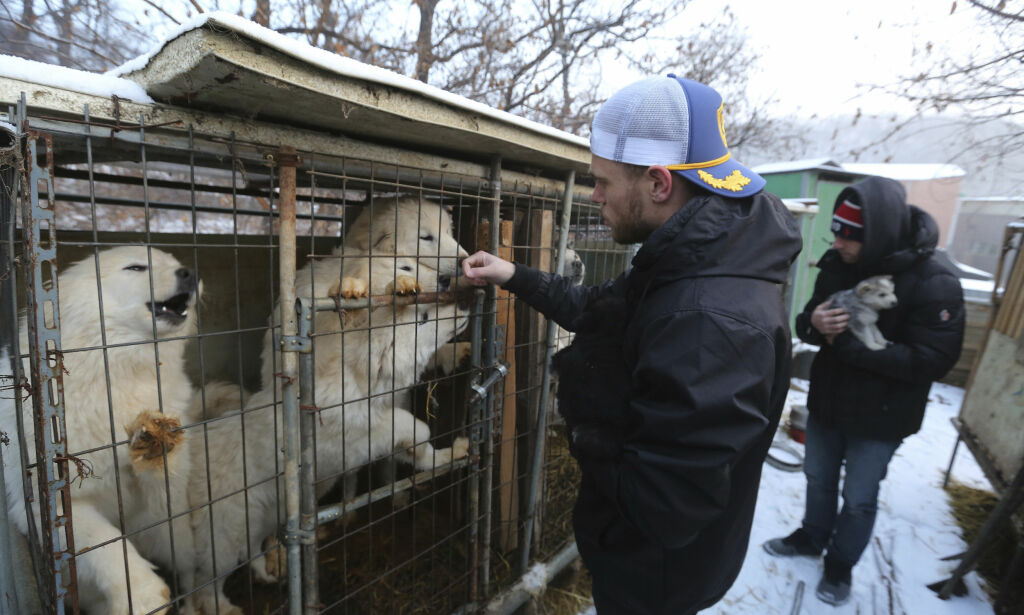 OL-stjerna Gus (26) var i sjokk etter hundefarm-besøk