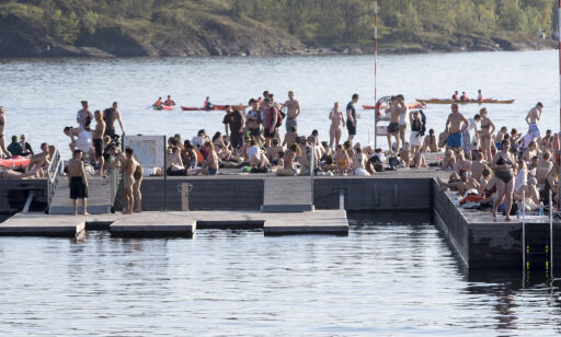 Vil stoppe nakenbading, sprøytespisser og offentlig urinering i rådyrt Oslo-strøk