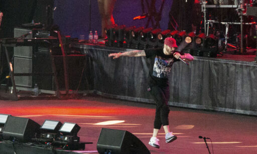   The photoconductor of Eminem strikes notes of concert 