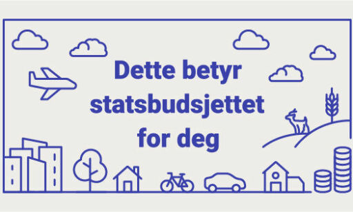 Dyrere drivstoff, billigere strøm og avgiftshopp på alkohol