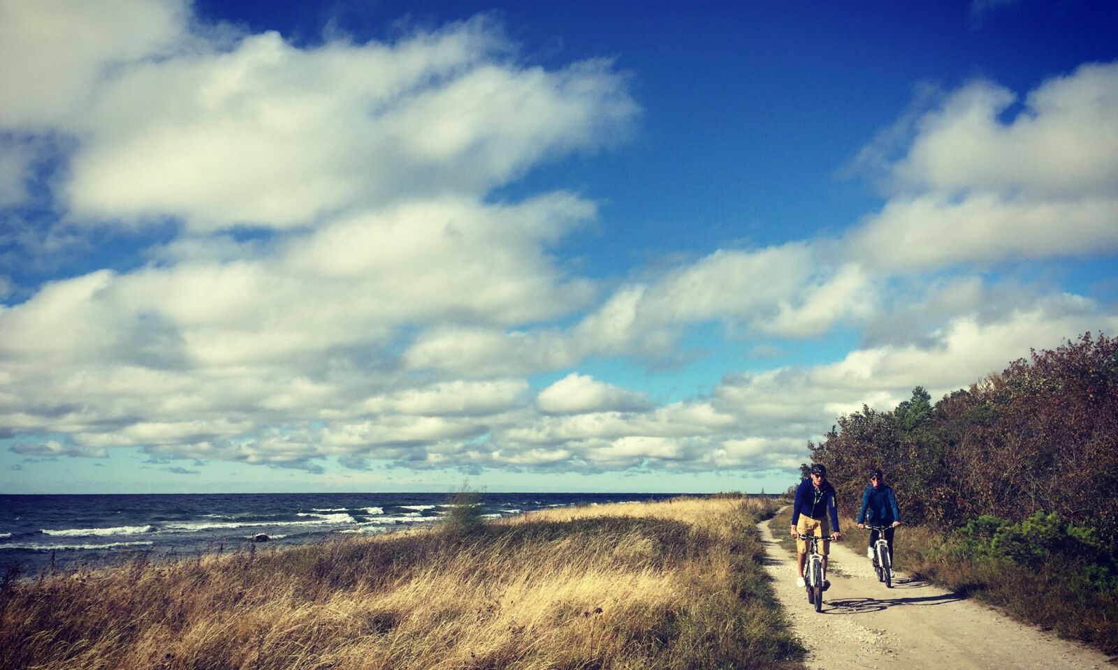 MÅ OPPLEVES: Det gotlandske landskapet er helt unikt. Med sykkel får du virkelig kjent på nærhet til naturen og kysten. Foto: Gotland Active Store MÅ OPPLEVES: Det gotlandske landskapet er helt unikt. Med sykkel får du virkelig kjent på nærhet til naturen og kysten. Foto: Gotland Active Store