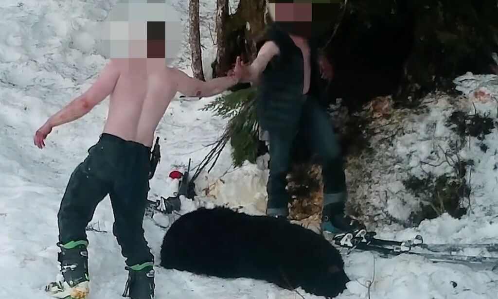 Far og sønn filmet mens de skjøt og drepte binne og bjørnunger